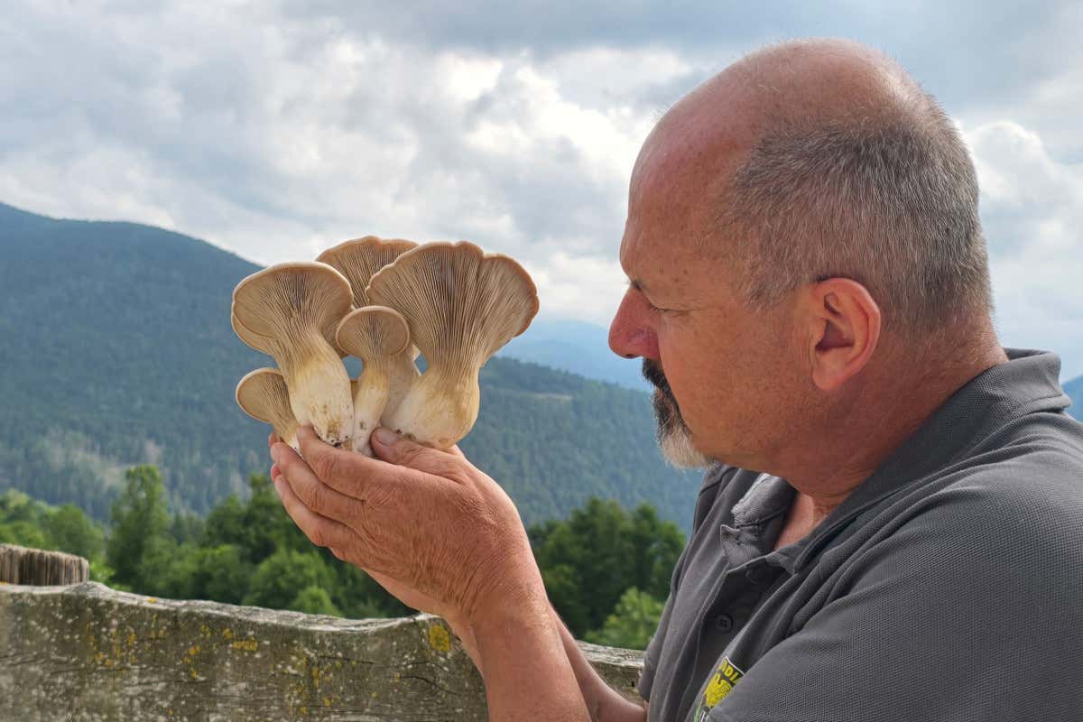 Alla scoperta dell’Alpe Cimbra, la montagna per tutti in ogni stagione