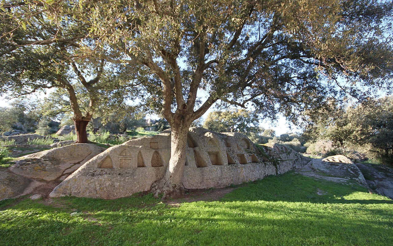 Altare Santo Stefano Oschiri, alla scoperta dell'altra Sardegna e dell'altra Gallura