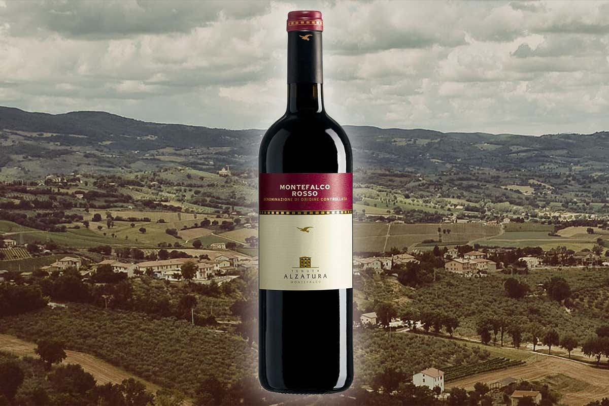 Il Montefalco Rosso raccontato da tre vitigni chiusi nella stessa botte