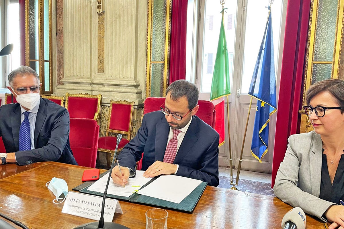 La firma di Patuanelli Mipaaf e Amazon, un accordo contro l'italian sounding
