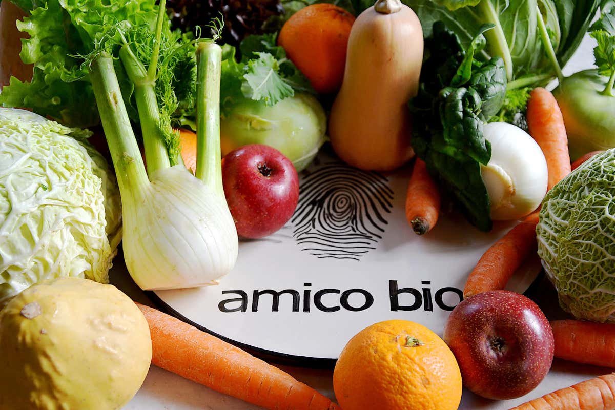Amico Bio: ortaggi e frutta biodinamica a ciclo chiuso nella 