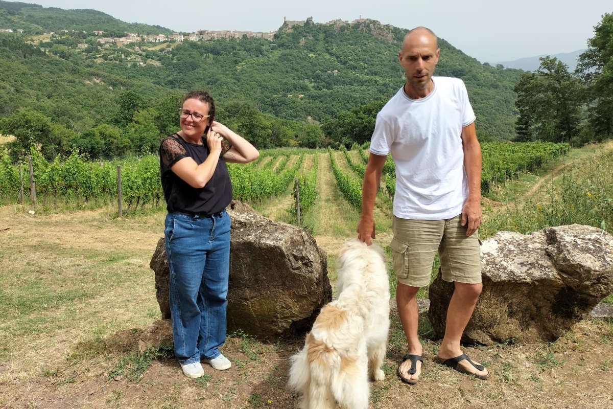 Ampeleia: un'azienda agricola sostenibile immersa nella bellezza della Toscana