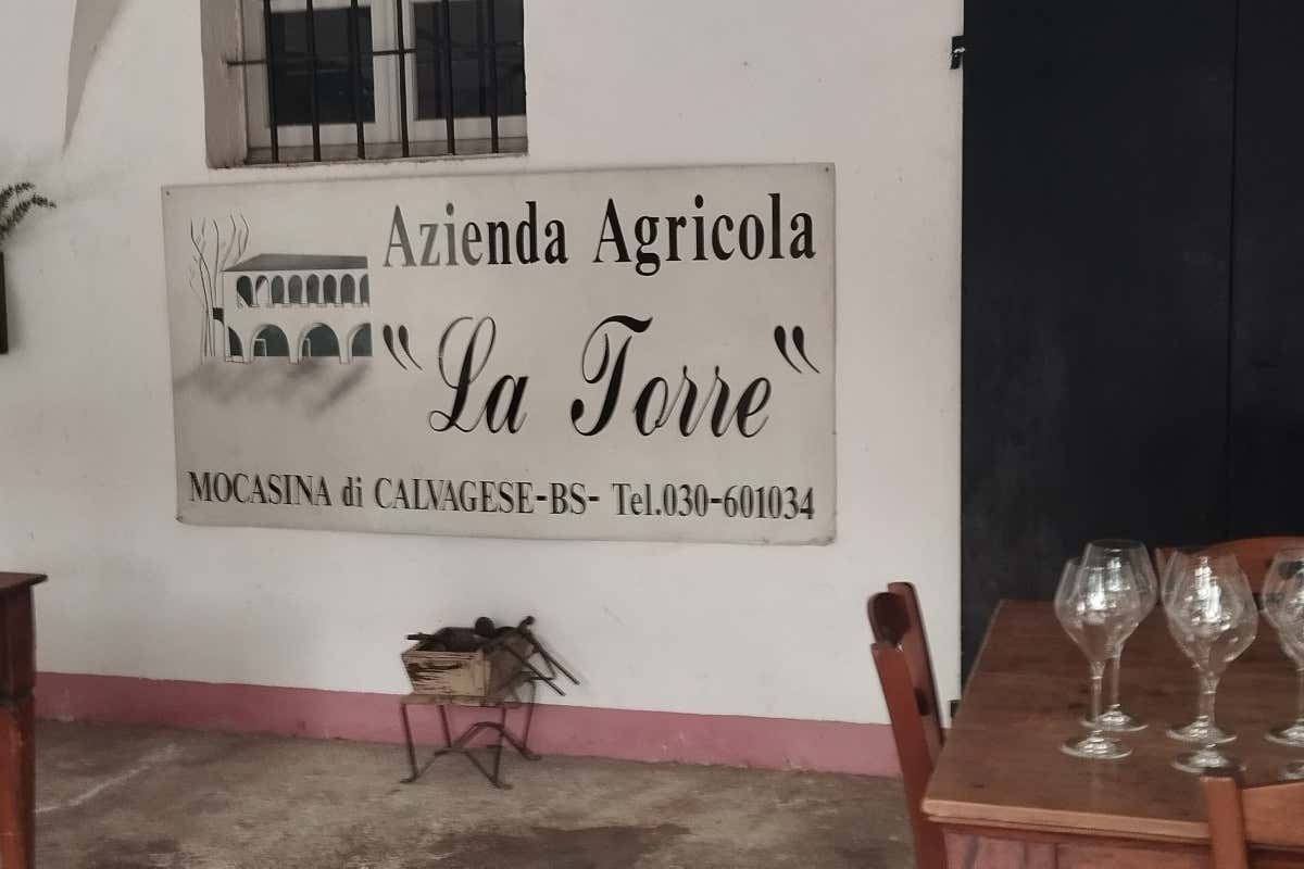 La Torre: 100 anni di vini biologici e sostenibili nella Valtènesi Doc