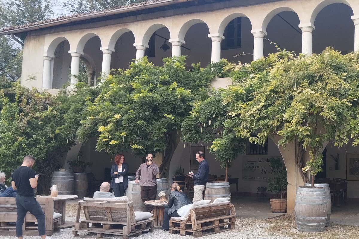 La Torre: 100 anni di vini biologici e sostenibili nella Valtènesi Doc