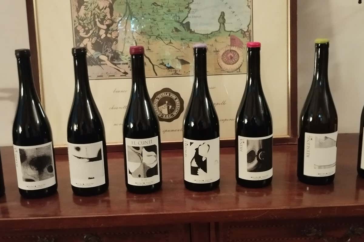 La Torre: 100 anni di vini biologici e sostenibili nella Valtènesi Doc