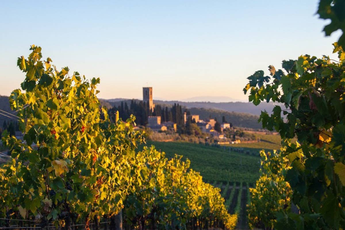 Badia Passignano All'Abbazia di Fossanova, la storia dei monaci vigneron