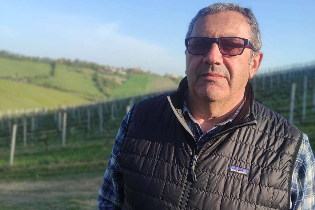 Antonio Capelli Antonio Capelli nuovo presidente del Consorzio Vini Colli Bolognesi