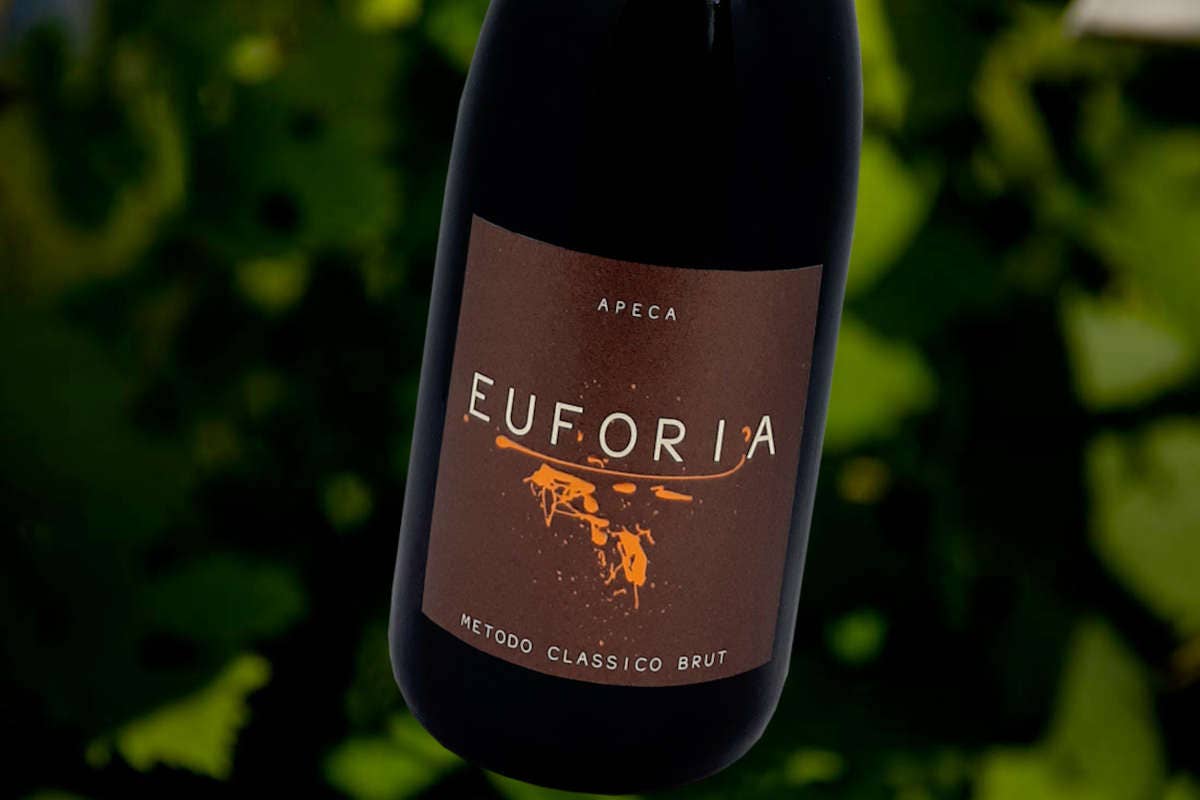 Apeca Wines, Euforia Brut 2021: freschezza e armonia delle Langhe