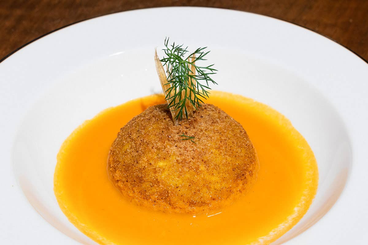 Arancina-o di riso con ragu di triglia e finocchietto selvatico pino cuttaia