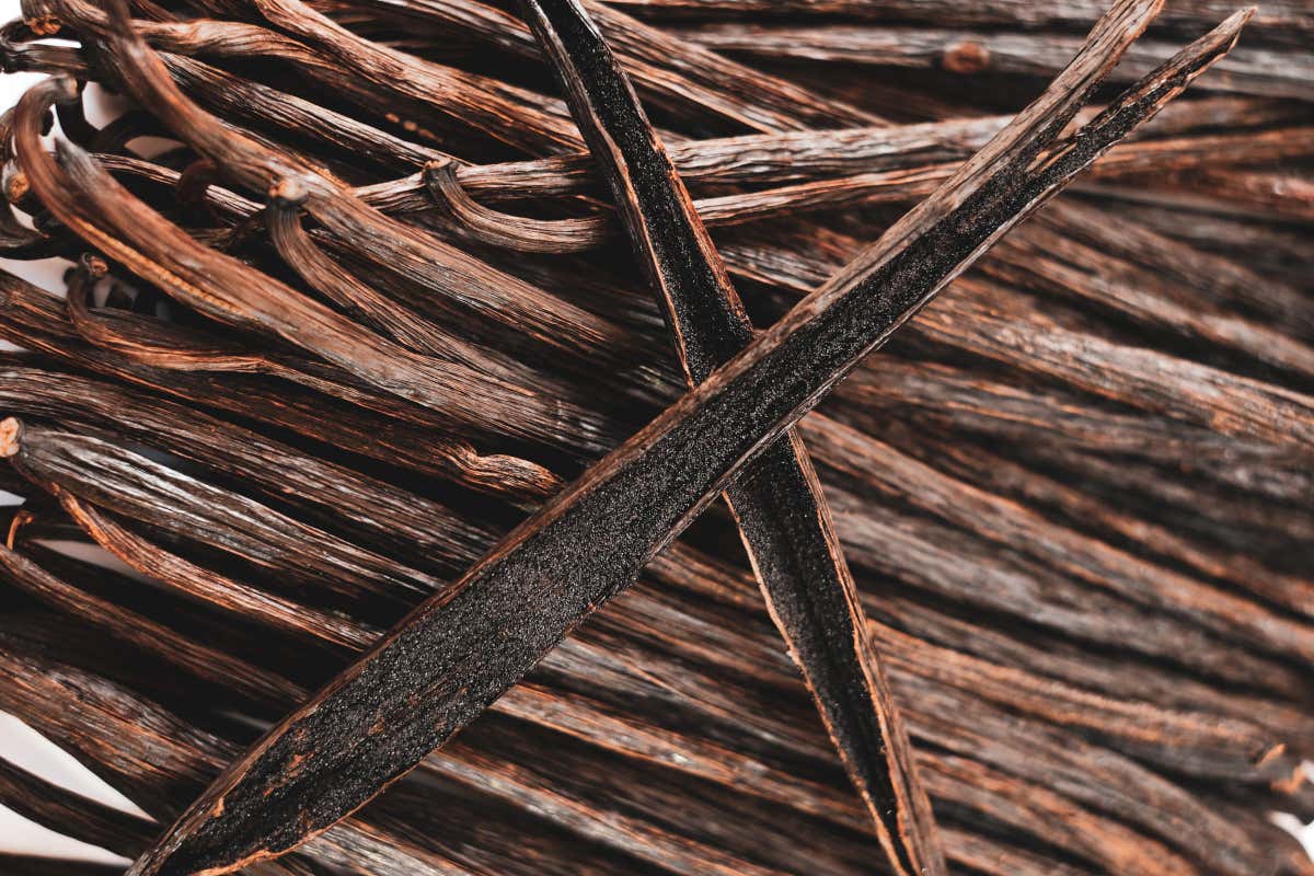 Simili ma molto diversi: l'uso di vaniglia del Madagascar e vanillina nei dolci Simili ma molto diversi: l'uso di vaniglia del Madagascar e vanillina nei dolci