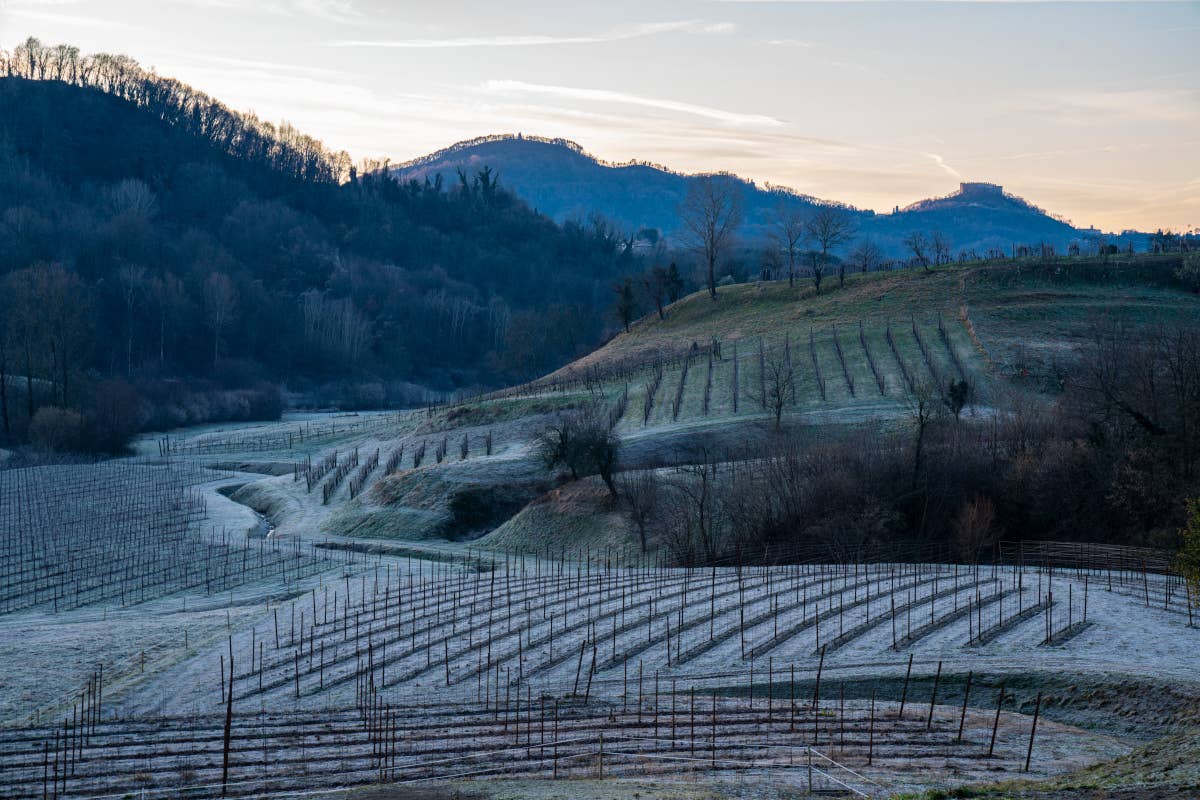 L'Asolo Prosecco raggiunge il record storico di 30 milioni di bottiglie