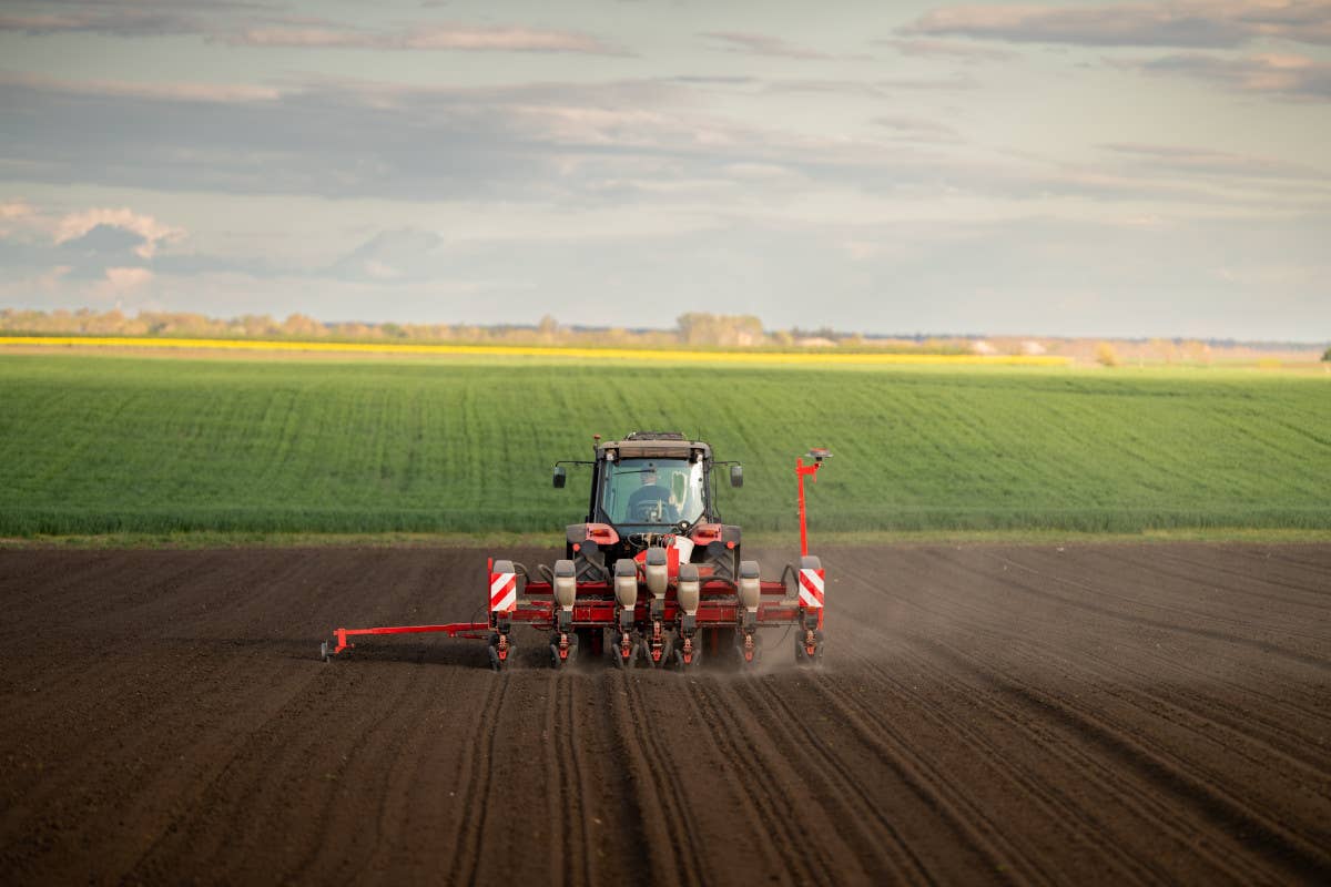 Meteo pazzo e raccolti a rischio: crescono le assicurazioni agricole