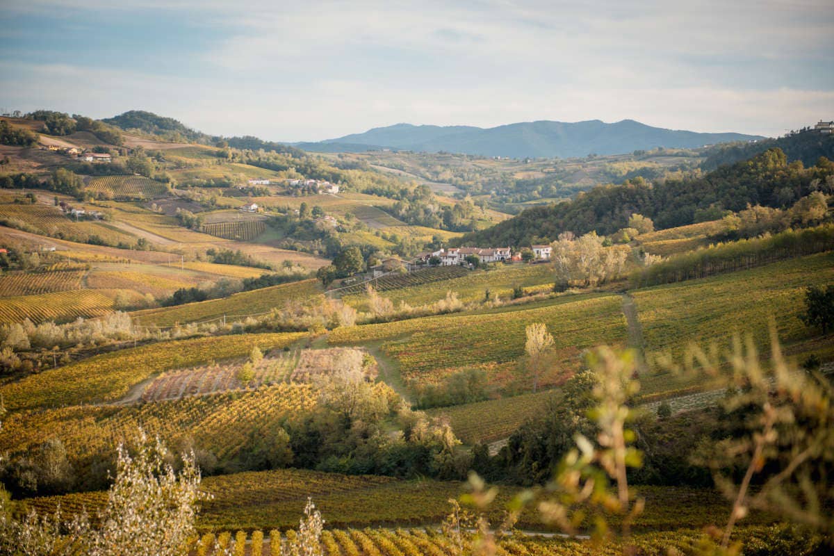 Alla scoperta dei sapori di Pavia: l'Autunno Pavese celebra 70 edizioni