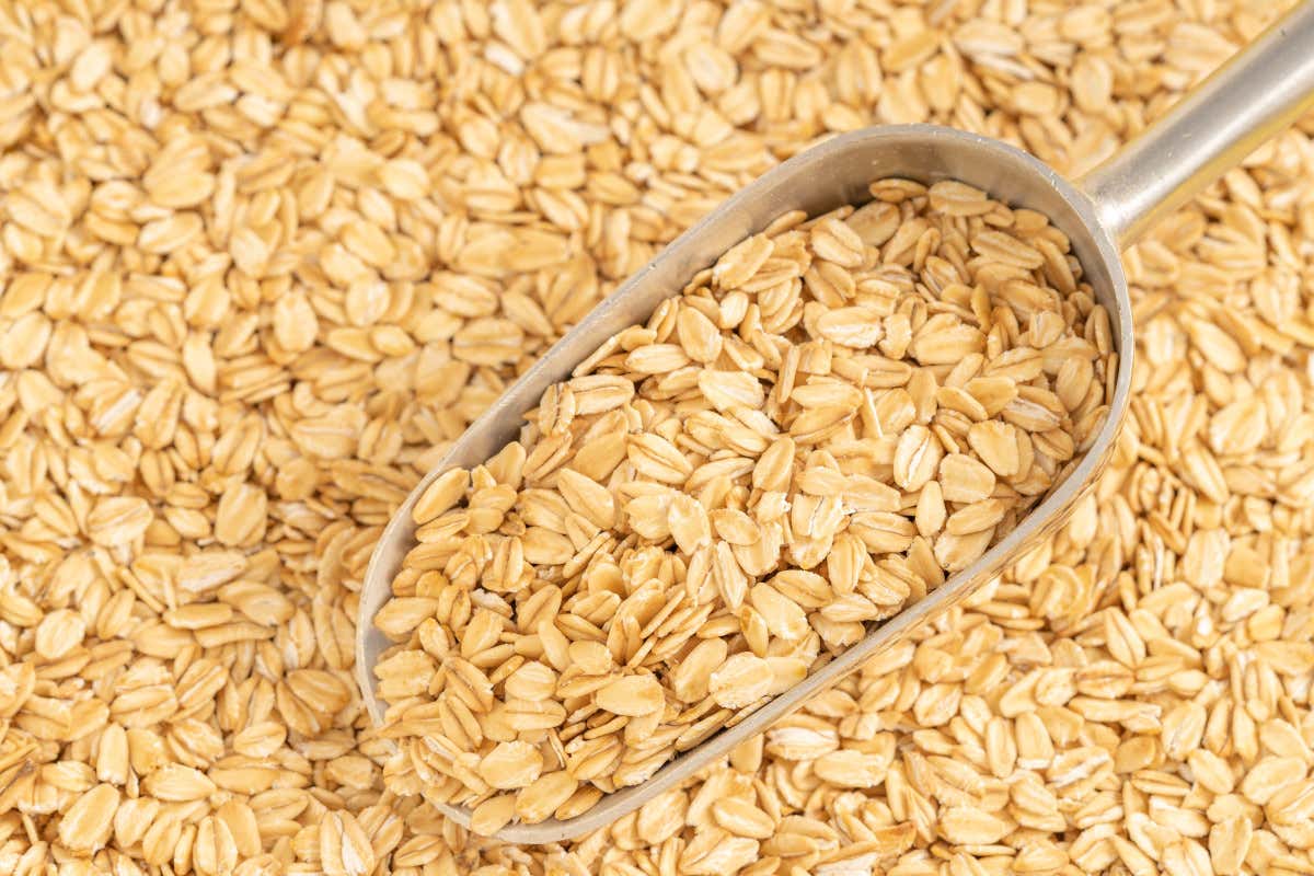 Avena: il cereale che fa bene al cuore, all'intestino e alla glicemia