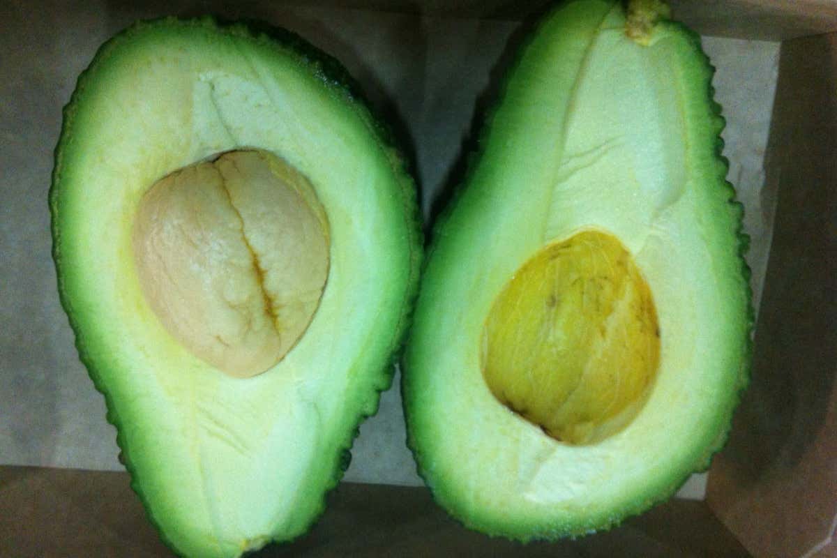 Dalla Sicilia alla Calabria: dove l'avocado diventa un'eccellenza locale Dalla Sicilia alla Calabria: dove l'avocado diventa un'eccellenza locale