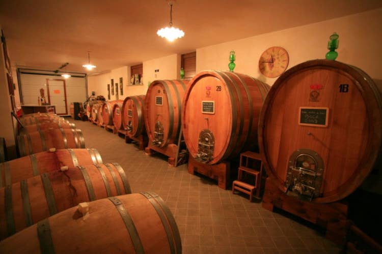 Il Boca e l'azienda Barbaglia, realtà del vino rispettosa del territorio