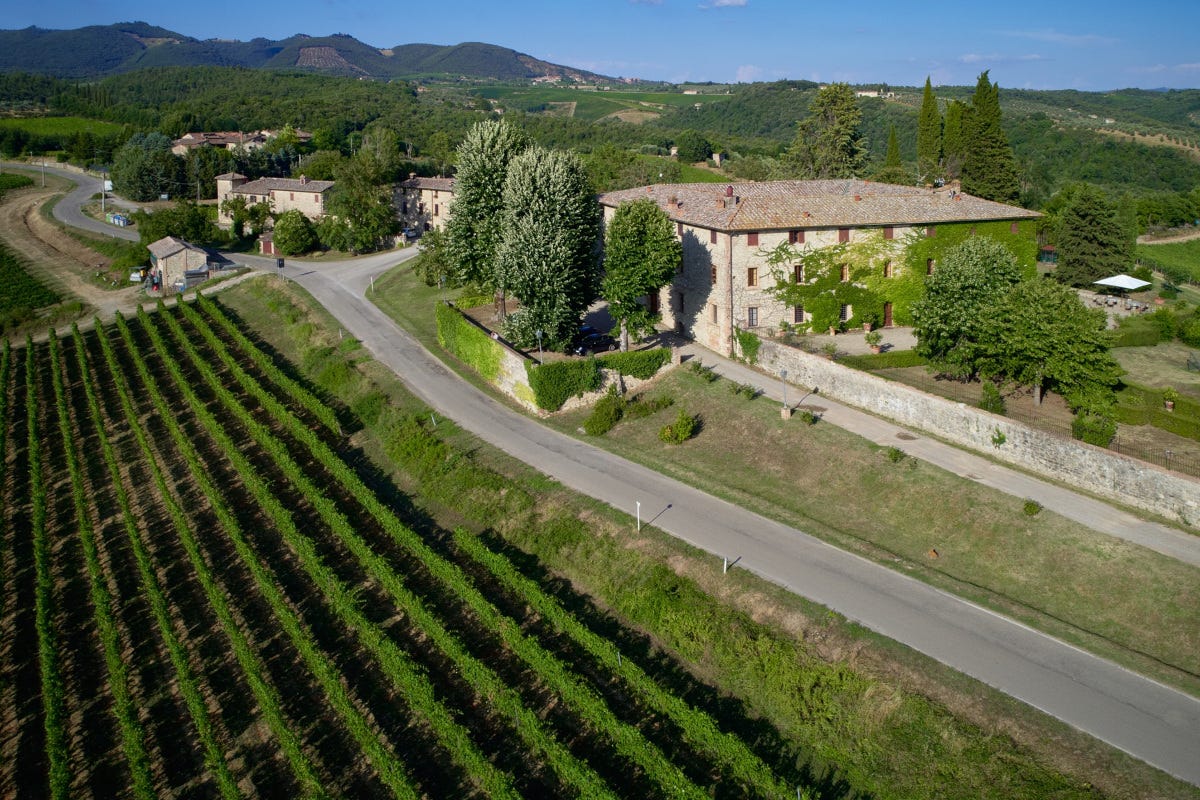 Bacci Wines, una cantina in continua evoluzione col cuore in Toscana
