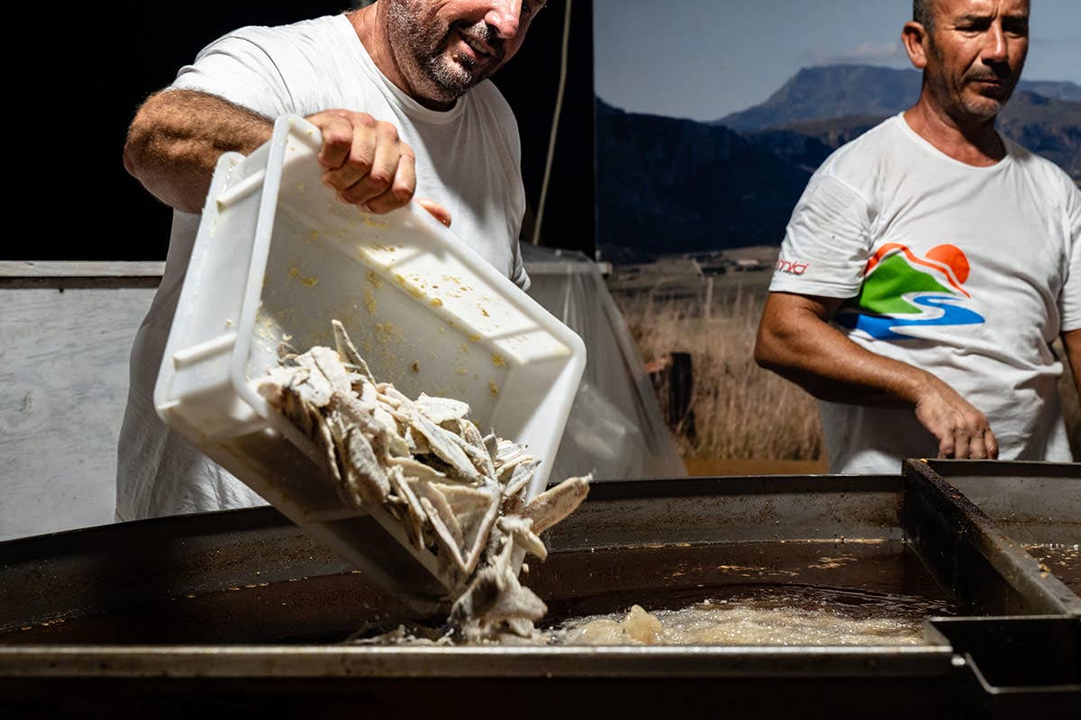 “Bagli, Olio e Mare”: Castelluzzo all'insegna del turismo slow e consapevole