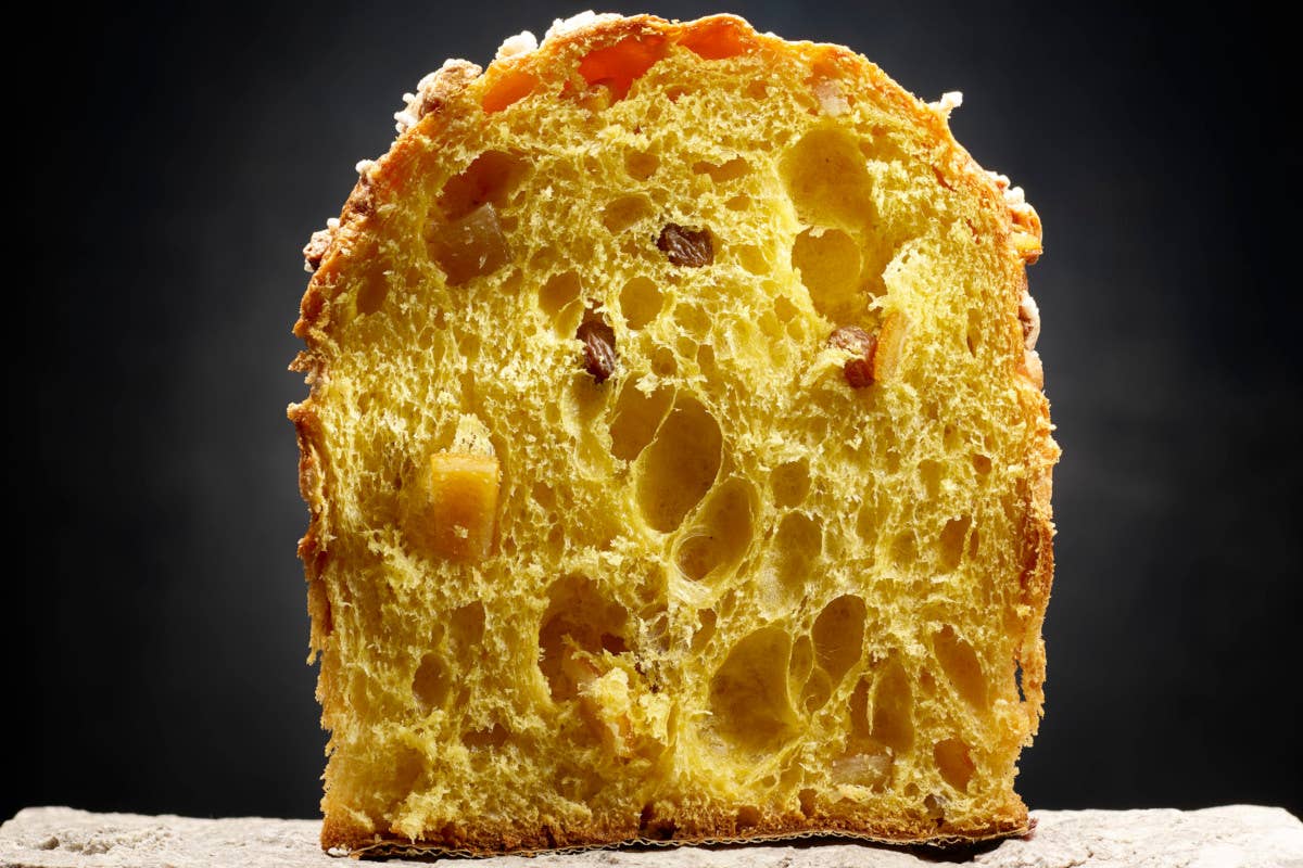 Il panettone sinestetico, l'Odissea del gusto di Giuliano Baldessari