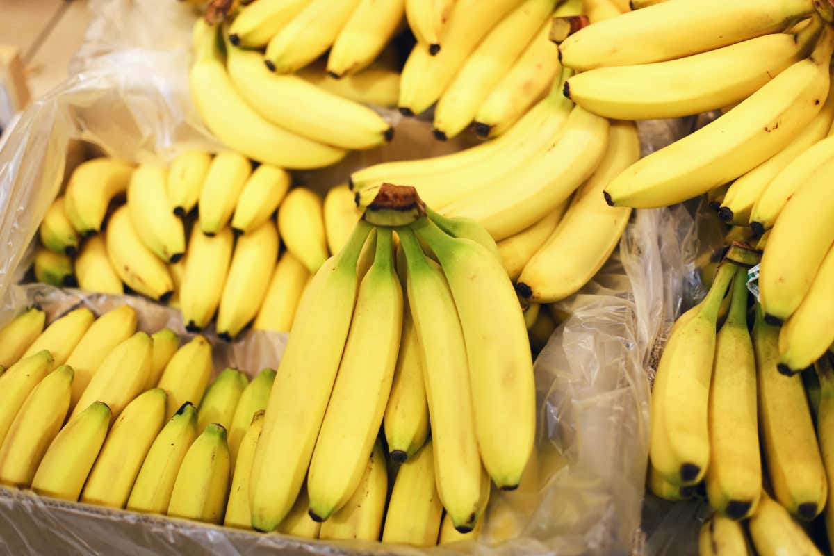 La banana, un'alleata della salute: ecco tutto quello che devi sapere La banana, un'alleata della salute: ecco tutto quello che devi sapere