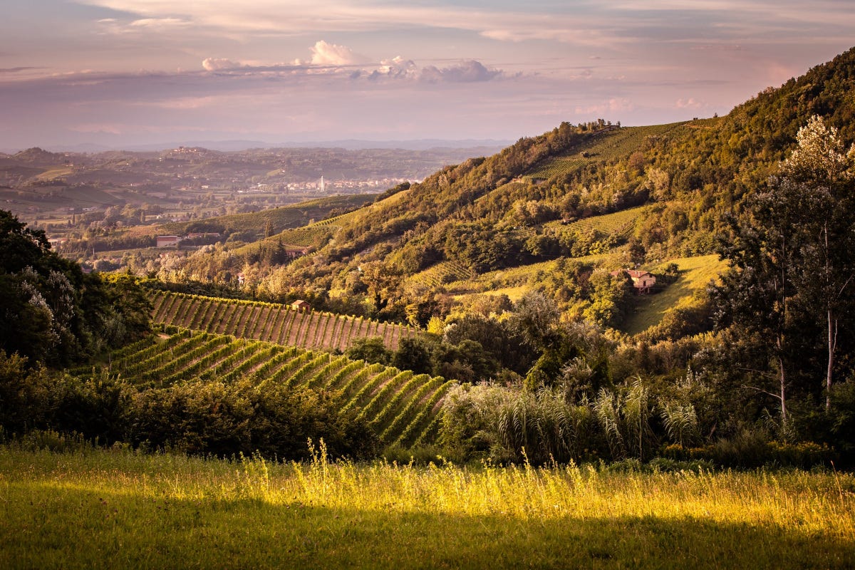 Il Barbera d'Asti Wine Festival si prepara al debutto