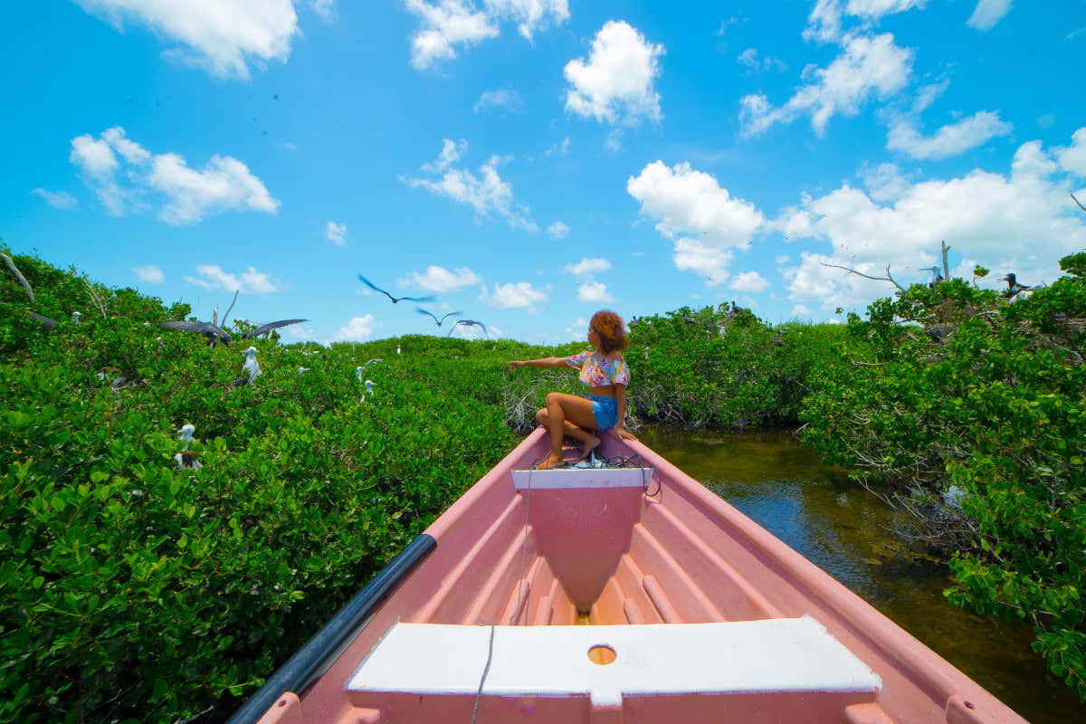 Alla scoperta dell'isola di Barbuda: otto luoghi da non perdere