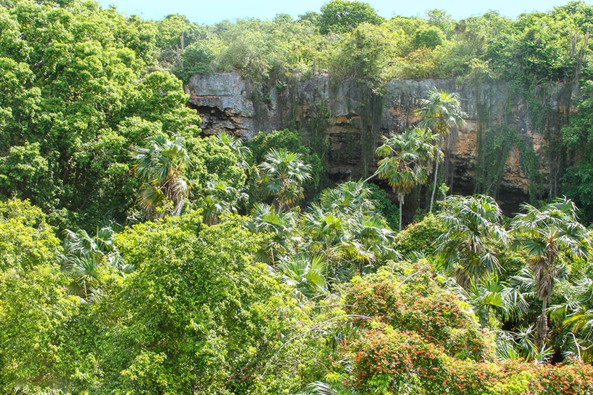 Alla scoperta dell'isola di Barbuda: otto luoghi da non perdere
