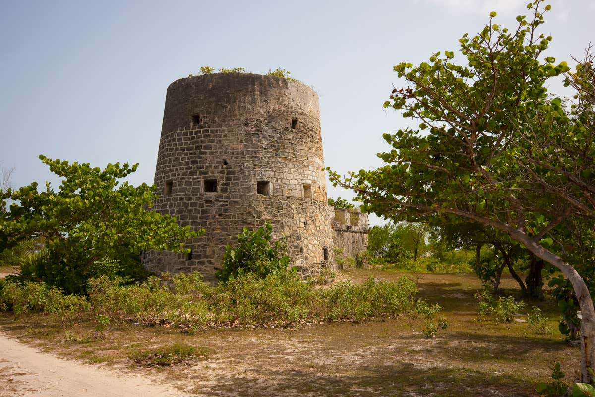 Alla scoperta dell'isola di Barbuda: otto luoghi da non perdere