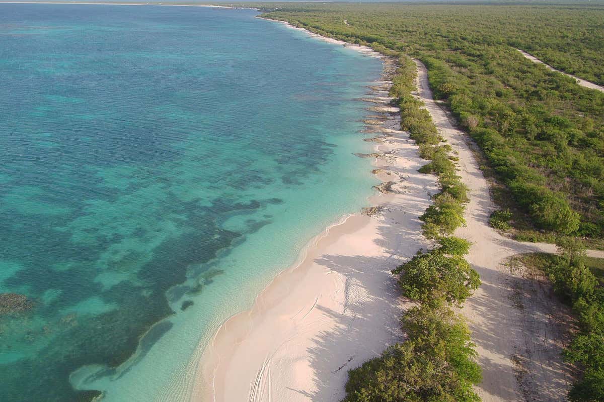 Alla scoperta dell'isola di Barbuda: otto luoghi da non perdere