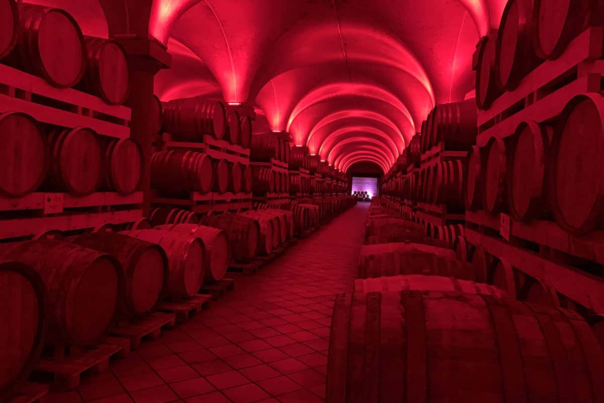 Berta: il nuovo museo multimediale racconta tre generazioni di grappa