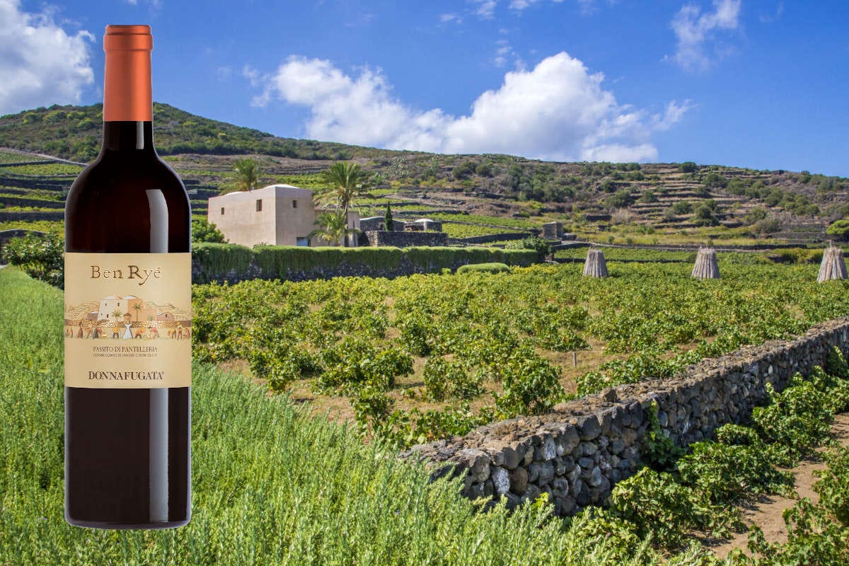 L'anima del territorio siciliano nei vini di Donnafugata