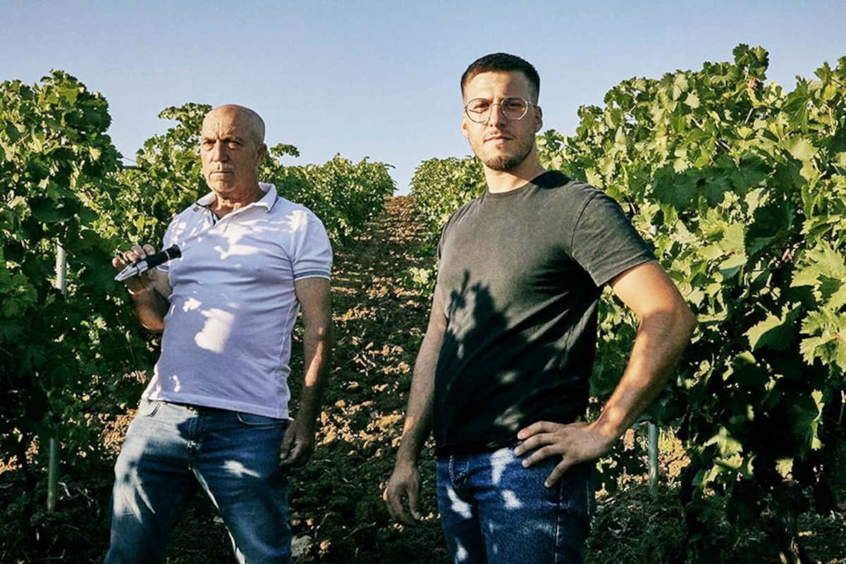Bianco e Rosso di Case Alte, eccellenti espressioni di Catarratto e Syrah siciliani