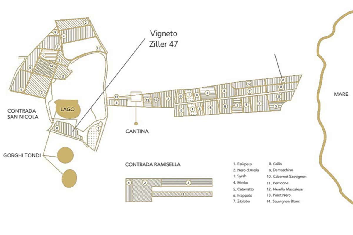 Ziller 47 di Gorghi Tondi, un Marsala pre-british che non può appellarsi Marsala Ziller 47 di Gorghi Tondi, un Marsala pre-british che non può appellarsi Marsala