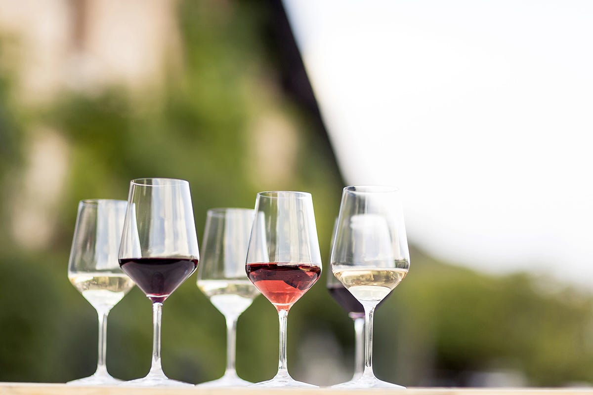 Territori differenti e vini differenti, sempre più apprezzati dai mercati - Foto Florian Andergassen Viaggio nell’Alto Adige vitivinicolo