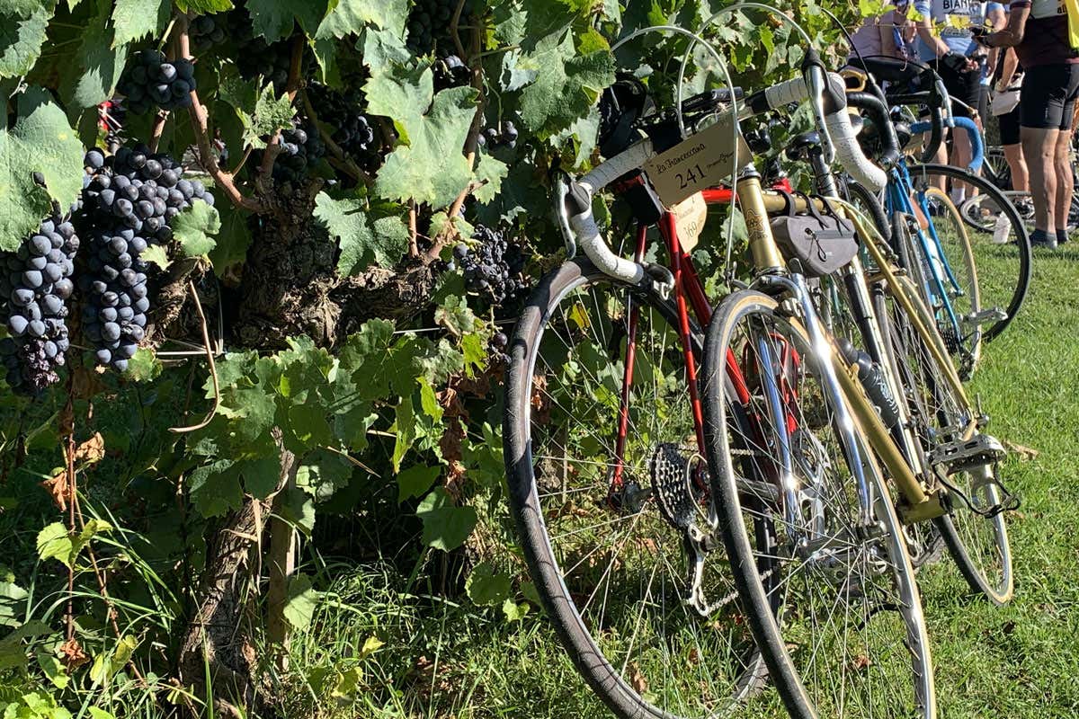 La Francescana Ciclostorica: bici d’epoca nell’Umbria dell’accoglienza La Francescana Ciclostorica: bici d’epoca nell’Umbria dell’accoglienza