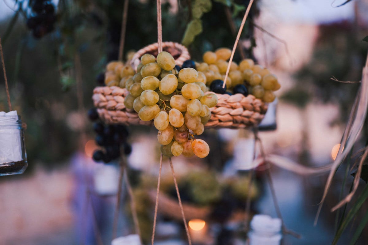 Borgo Egnazia, dalla vigna alla tavola: un viaggio nei vini pugliesi