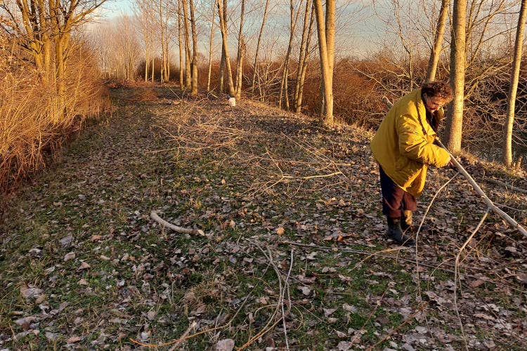 Fonte: Associazione Nazionale Città del Tartufo Viaggio tra le città del tartufo  Borgocarbonara in Lombardia