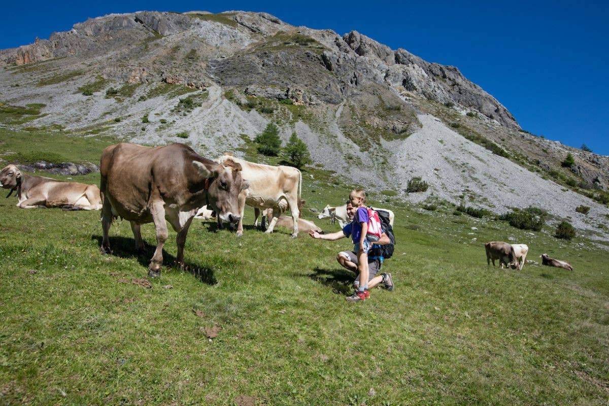 Alpi in versione famiglia: 10 proposte per vacanze in montagna family friendly