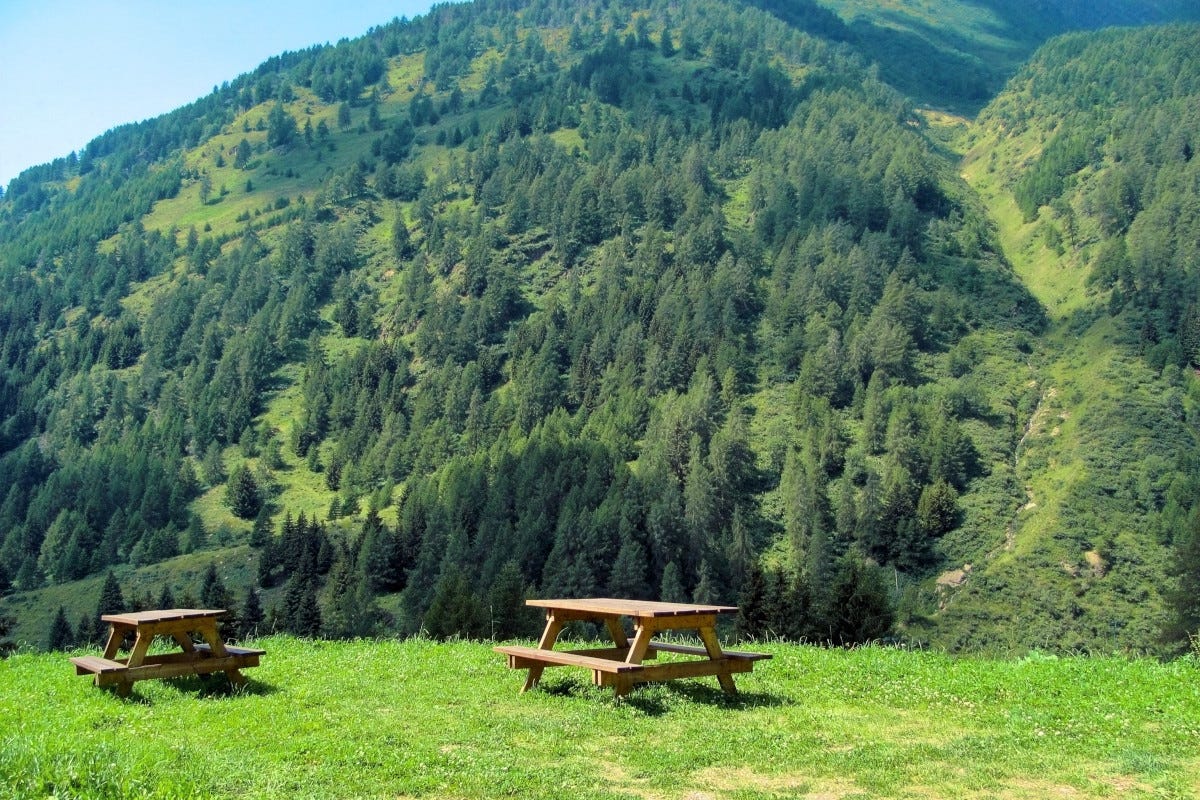 In Lombardia una foresta di oltre 600mila ettari da tutelare