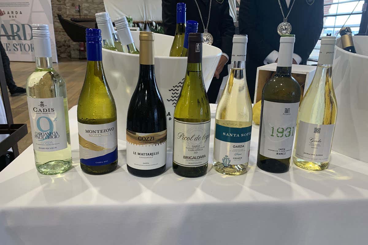 Consorzio Garda Doc tra vini low alcol, enoturismo e nuovi consumatori 