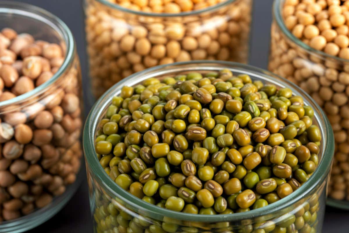 Botulino: food truck e sagre sotto la lente dopo i casi in Calabria e Sardegna