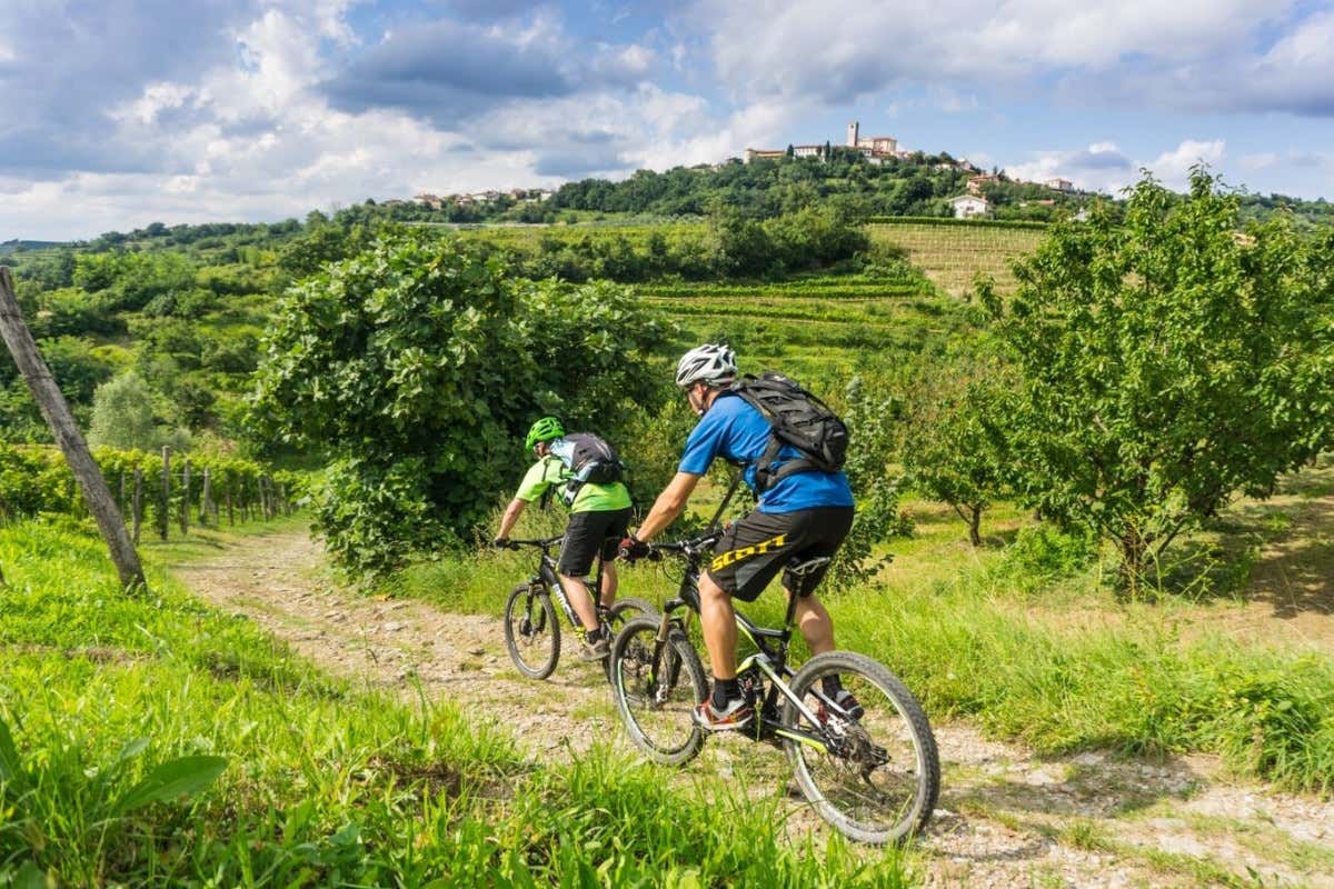 Alla scoperta della Slovenia occidentale, dove l’autunno accende vigne e borghi Alla scoperta della Slovenia occidentale, dove l’autunno accende vigne e borghi