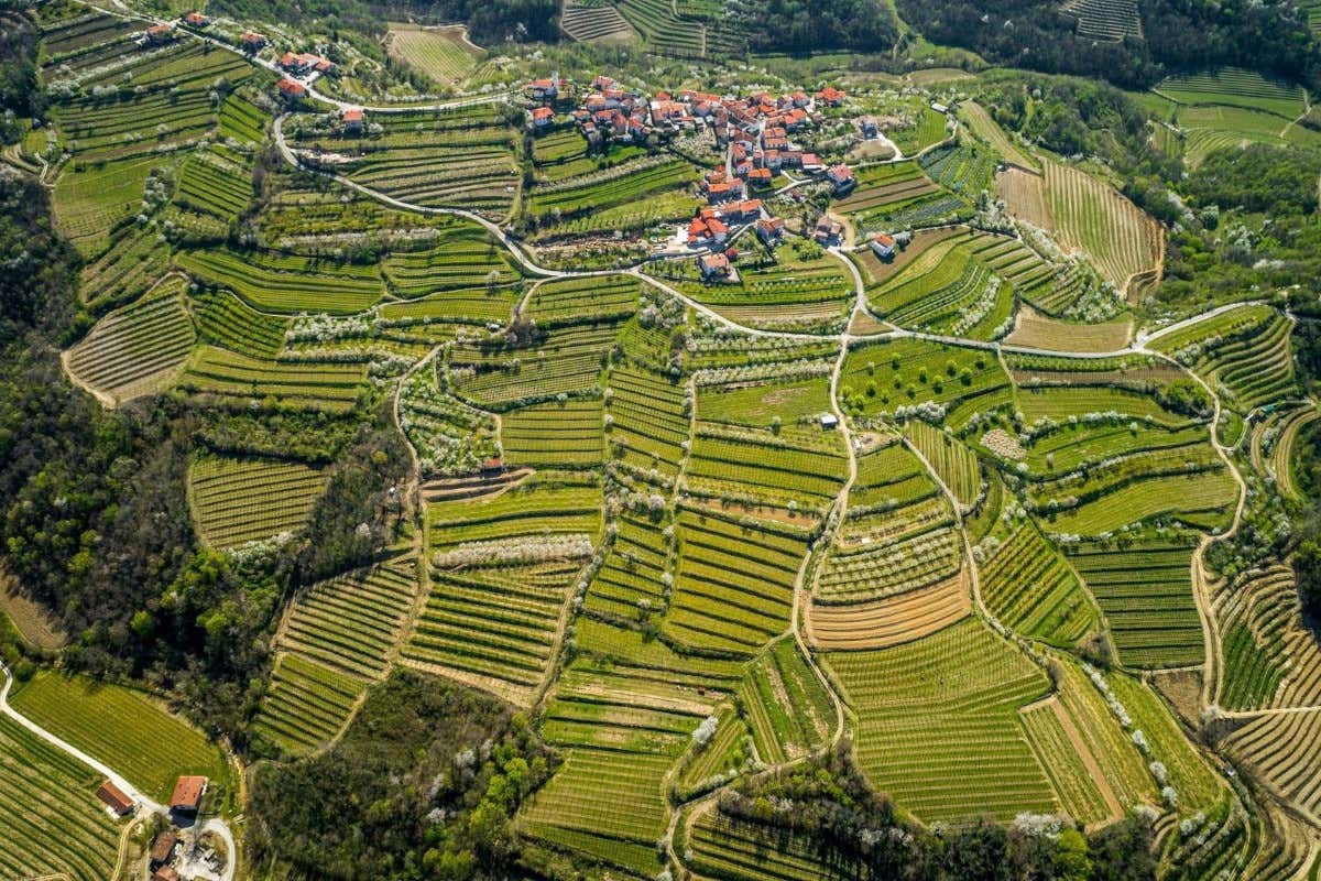 Alla scoperta della Slovenia occidentale, dove l’autunno accende vigne e borghi Alla scoperta della Slovenia occidentale, dove l’autunno accende vigne e borghi