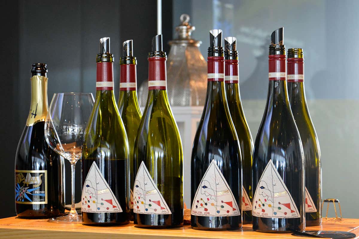 PN 1150, lo spumante che porta il Pinot Nero dove nessuno aveva il coraggio di arrivare PN 1150, lo spumante che porta il Pinot Nero dove nessuno aveva il coraggio di arrivare