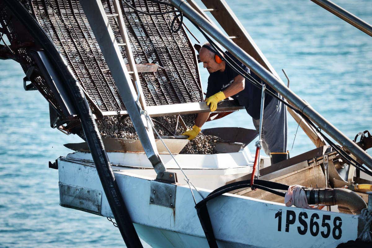 Legge di Bilancio 2026: un miliardo per alimentare, agricoltura e pesca