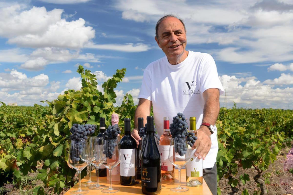 Non solo i vini di Bruno Vespa al tavolo: ecco cosa si beve al G7