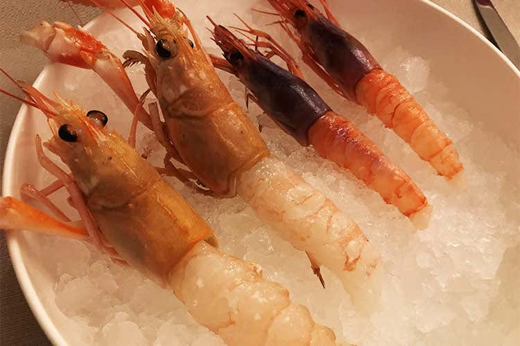 (Da Brutti di mare il pesce si fa bello)