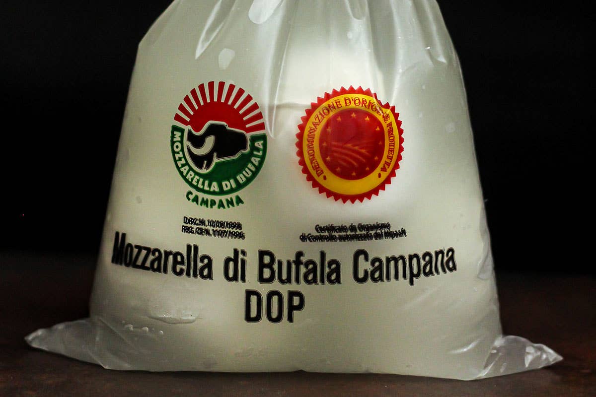 Bufala Campana Dop, globetrotter caseario 