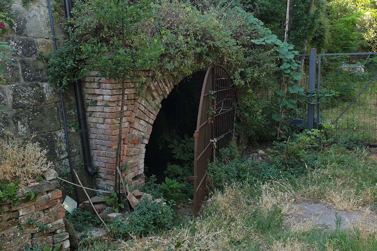 Un bunker antiaereo diventa un orto verticale: accade a Torrita di Siena