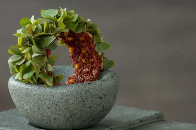 La cucina endemica di Rodolfo Guzmán, il cuoco cileno fra i più famosi al mondo